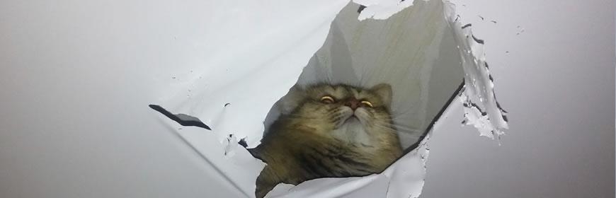 Ремонт натяжных потолков
